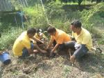 ร่วมกันปลูกต้นมะม่วงพร้อมกัน 17 ตำบล