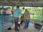 โครงการรณรงค์ป้องกันโรคพิษสุนัขบ้า ประจำปี 2567