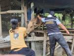 องค์การบริหารส่วนตำบลป่าระกำ ลงพื้นที่ฉีดวัคซีนป้องกัน โรคป